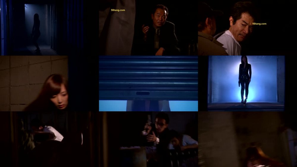 [JAV] [Uncensored] IPZ-056 Uncensored Leaked 秘密女捜査官～堕ちゆく誇り高き美人エージェント～ 冬月かえで モザイク破壊版 [1080p]