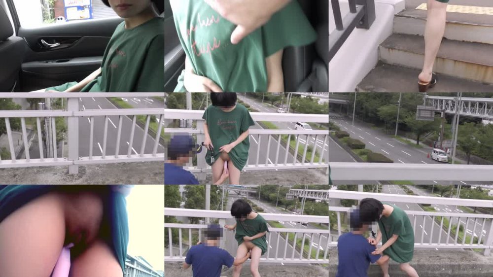 +++ FC2-PPV-1455440 【人間失格】野外鬼畜露出調教！これがガリ勉真面目っこの悲惨な末路。料金所、歩道橋、公園で女汁垂れ流し。青姦生セックスの快感に精神崩壊