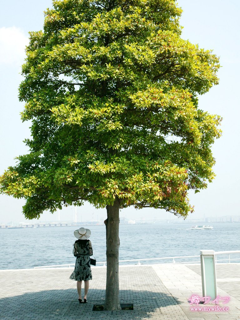 mywife 200高宮真裡奈[45P]