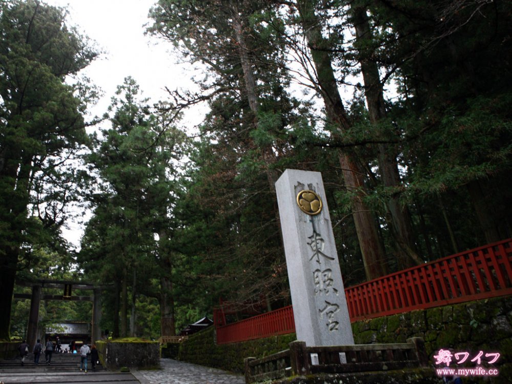 mywife 272Ash森雪乃[30P]