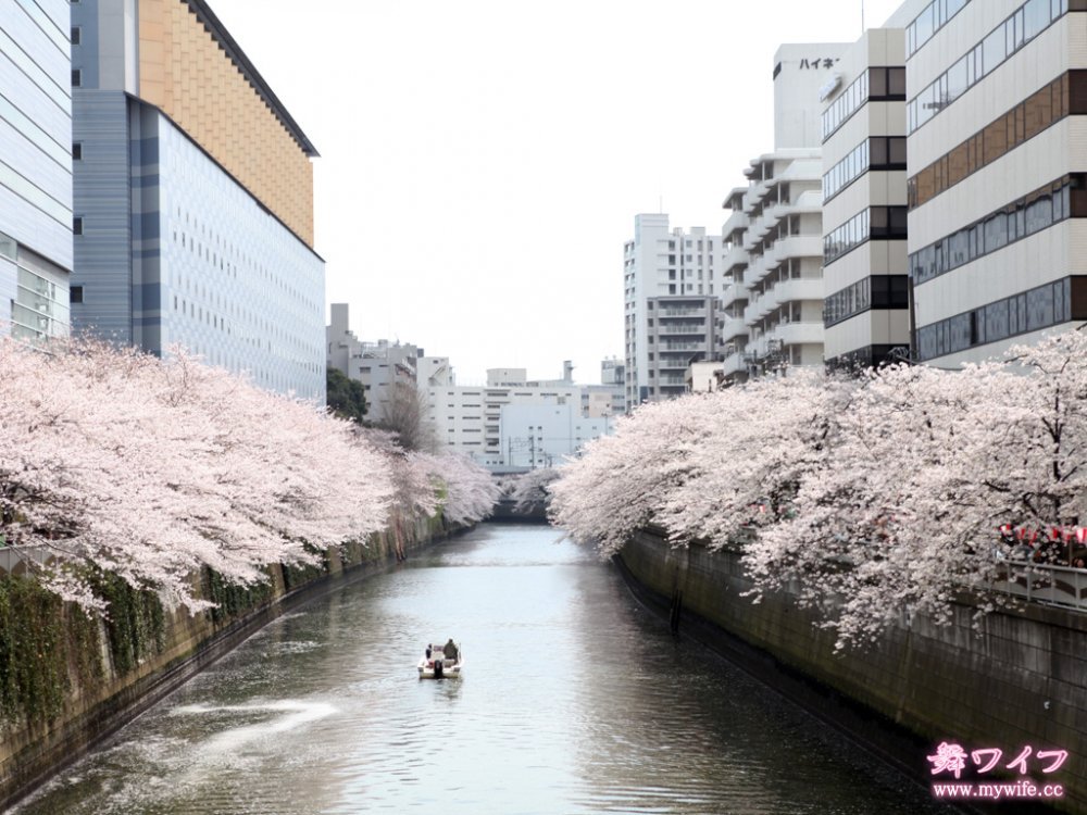 mywife 291下平靜香[45P]