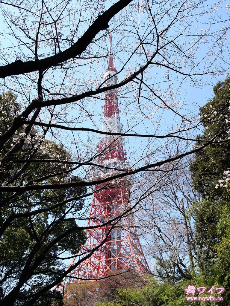 mywife 351內海 直子[45P]