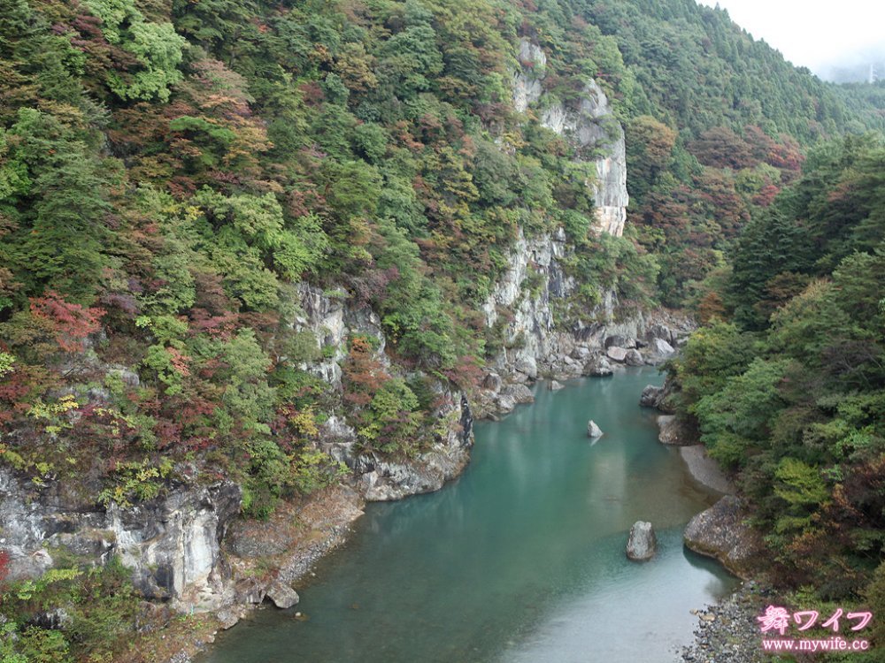 mywife 384吉野 ちあき[30P]