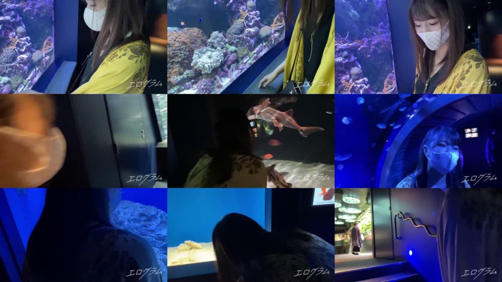 +++ FC2-PPV-2355453 【流出】ダンス強豪　都立K高〇学校出身ダンサー　筋肉質な肉体美で見せる止まらない腰振り騎乗位SEX流出