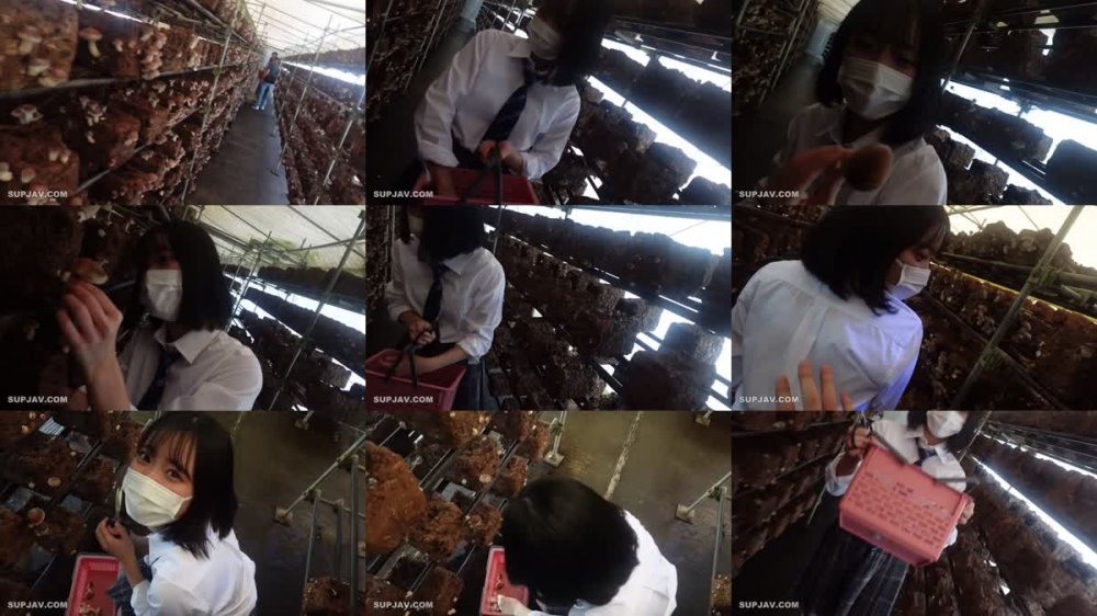 +++ FC2-PPV-4302474 顔出し！！「あの事」から成長して驚くほど可愛くなった清純可憐な女◯◯生を山中に連れ込み有無を言わさず青姦生中出し！！この女は何度犯しても気持ちいい・・・