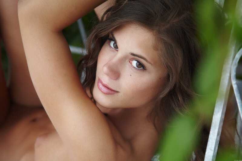 Cariane F  Cliemris[33P]