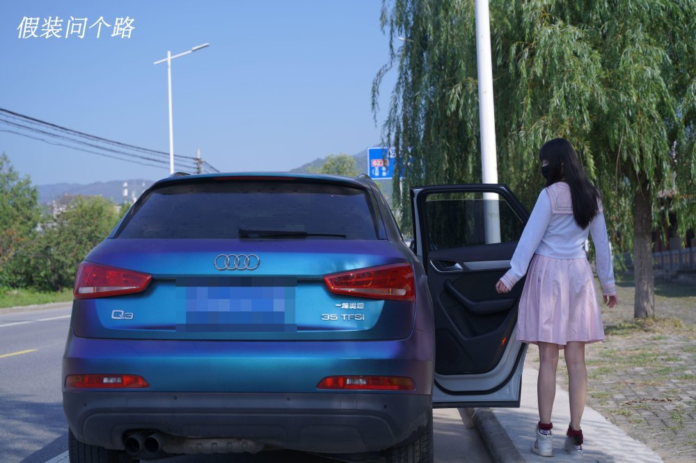 淩辱路邊極品妹子[30P]