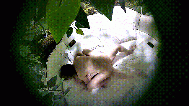 流出酒店偷拍❤️高清綠葉房姐弟戀情侶騷姐多角度毒龍舔蛋騎草小哥草到爽歪歪誇好厲害