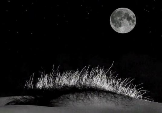 亞洲美女，全漏點，二漏點，漏點[23P]