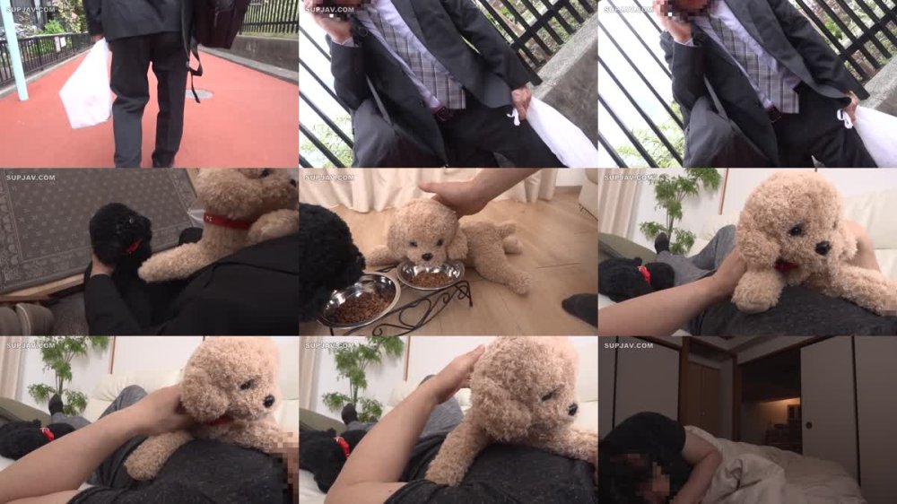 +++ [FHD] AIAV-034 【AI同人】愛するペットが魔法で彼女になっちゃいました