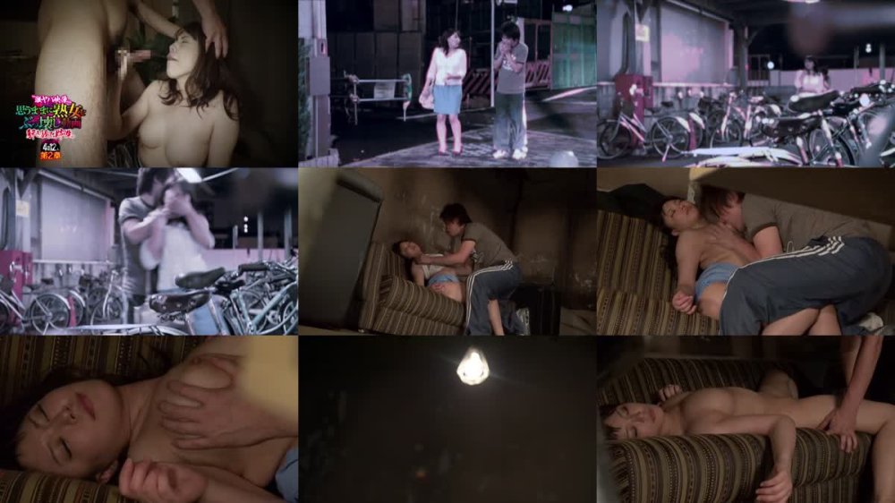 +++ [FHD] SGSR-383 激ヤバ映像 思うままに熟女をぶっ壊し動画 解き放て、野性。汚される熟女4時間12人 第2章