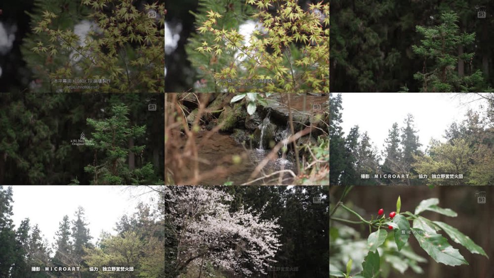 +++ [FHDC] SONE-970 誰も助けに来ない山奥深くのキャンプ場でひと際目立つKカップソロキャンパーが襲われる！胸元ゆるゆるキャンプ 鷲尾めい