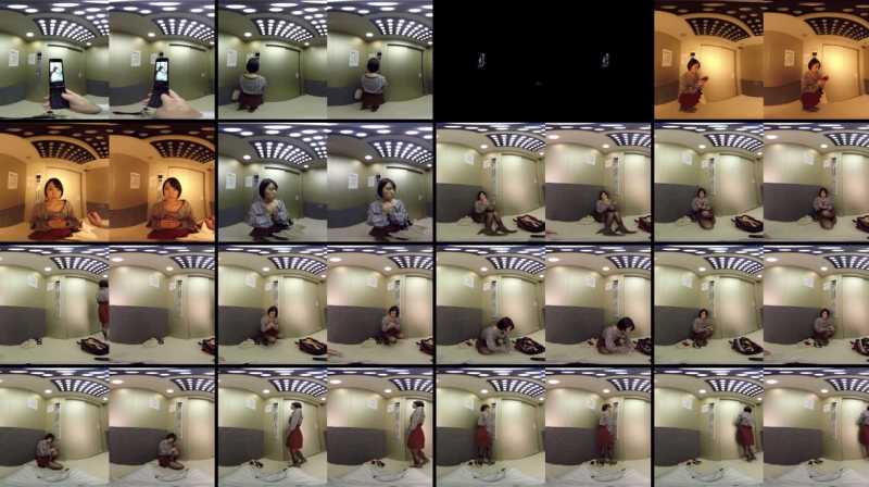 +++ [VR] WPVR-114 緊急停止！ 密室エレベーター若妻レイプ ひなた澪