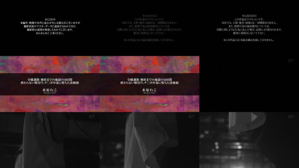 +++ [FHD] APNS-394 令嬢調教 懐妊までの地獄の30日間 終わらない種付け、チ○ポ中毒に堕ちた清純娘 水原わこ