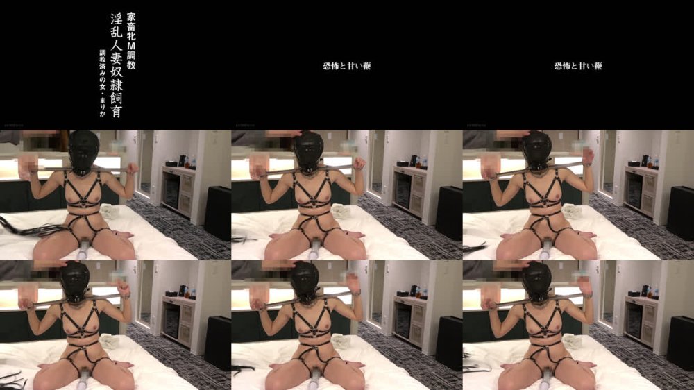 +++ [FHD] ACZD-246 家畜牝M調教 淫乱人妻奴●飼育