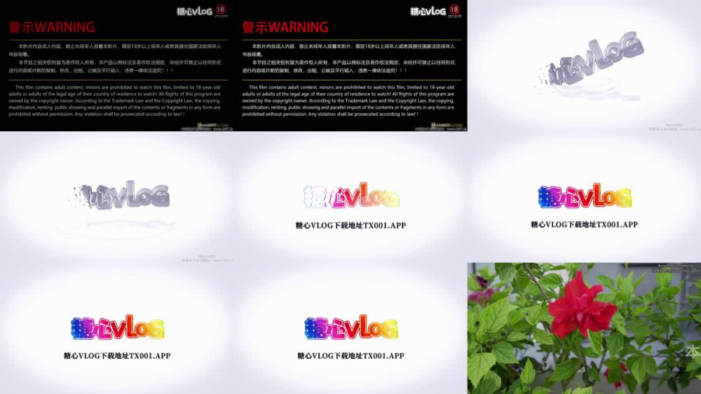 【AI增強】糖心Vlog性感黑絲騷貨饑渴難耐要室友的大肉棒apple（applecptv、蘋果）