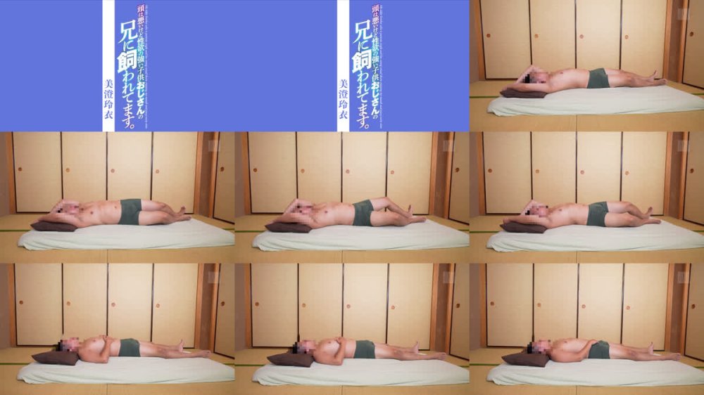 +++ [FHD] YSN-653 頭は悪いけど性欲の強い子供おじさんの兄に飼われてます。 美澄玲衣