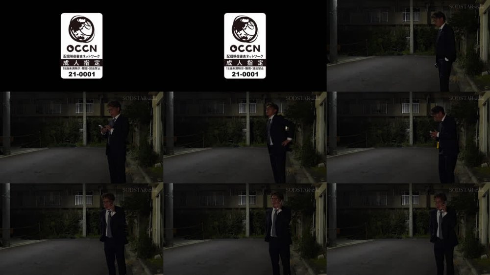 +++ [FHD] START-516 妻子持ち男を潰させて、そのままホテルで朝まで中出しを要求してくる性欲モンスターのラウンジ嬢 渚恋生