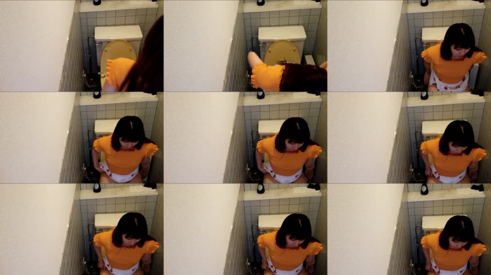 +++ [FHD] FTZM-019 トイレオナニー盗撮 秘蔵セレクション～自慰行為に耽る美女たち