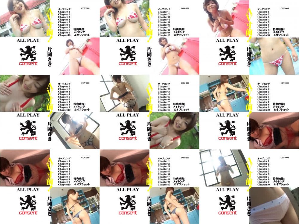 [COV-009] Riko Aoki 青木莉子 (Saki Kataoka 片岡さき) – Right before AV! AV寸前！[AVI/1.11GB]