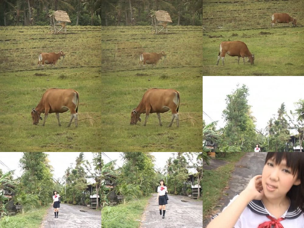 [KIDM-059] Miwa Fujino 藤野みわ – Tissue Time ティッシュ・タイム[AVI/970MB]