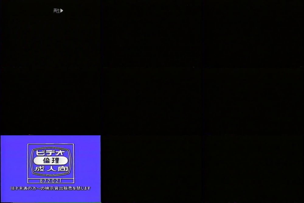 [PV-1049] Akane Fuji 藤あかね – Encounter…LOVE 出会い…LOVE[MP4/318MB]