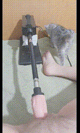 內向老婆任人淫，老婆這個大肥逼任人操，單男爆操，爽極了