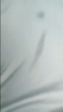 高顏美女吃雞舔菊花啪啪 寶貝我來了 好多水 這麼騷啊 不騷 爸爸進來 被大肉棒無套猛懟 奶子嘩嘩