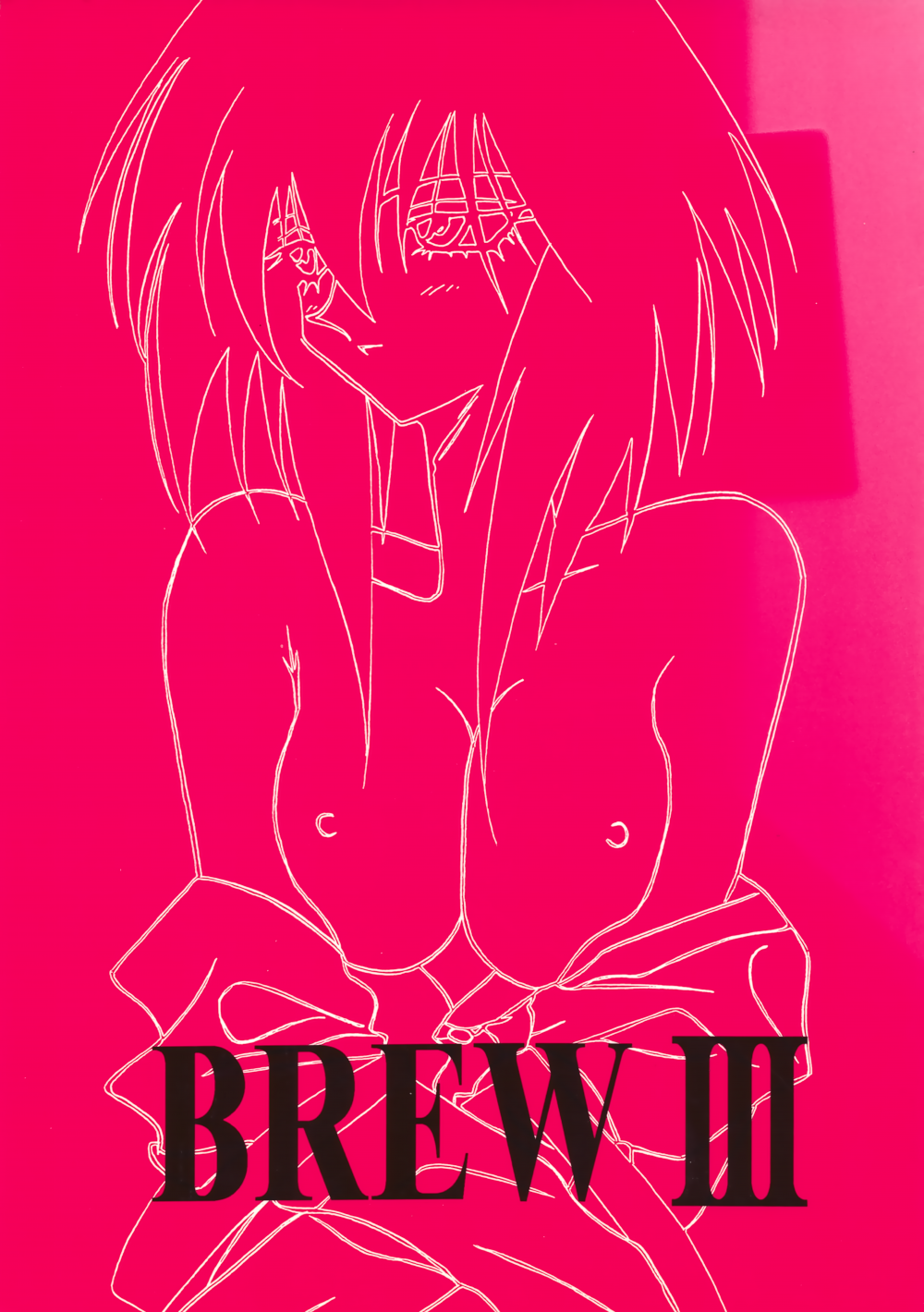 (C54) [岩崎製本所 (岩崎晶)] BREW III (星方武侠アウトロースター)