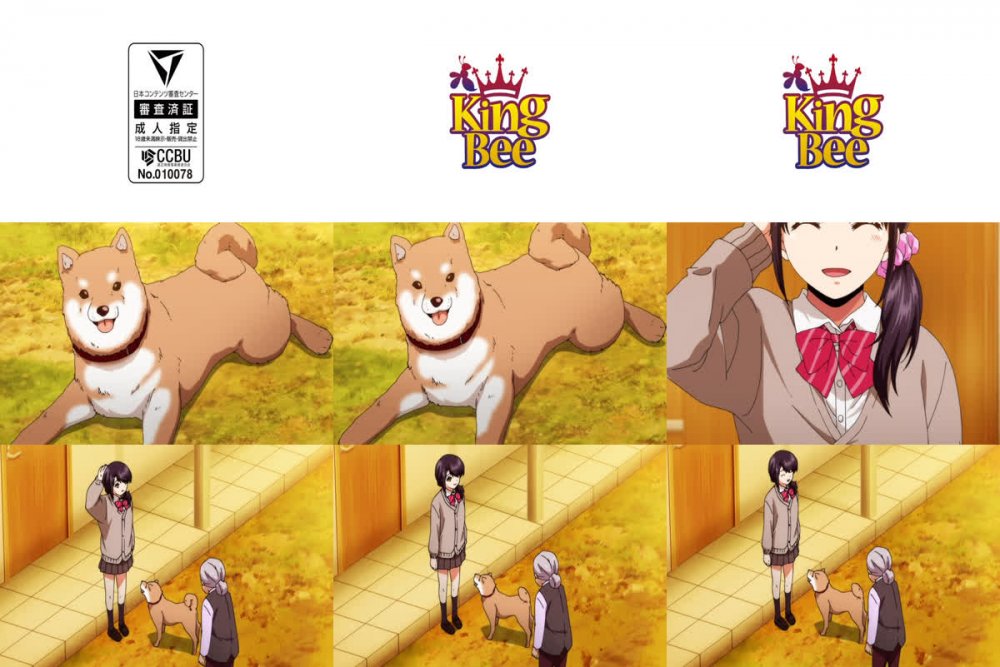 [Emotion] 1LDK + JK Ikinari Doukyo Micchaku Hatsu Ecchi - 06 (1LDK＋J系 いきなり同居？密着!?初エッチ!!? 第６話) - English Softsubs