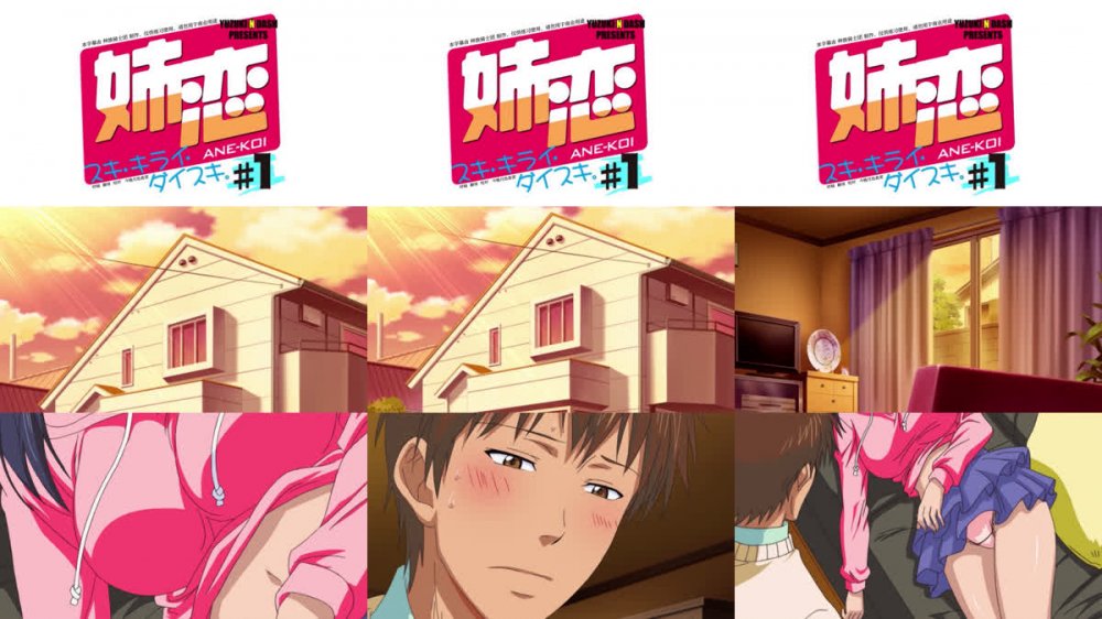 【种族骑士团】[姐恋 喜欢・讨厌・最喜欢了。 / 姉恋 スキ・キライ・ダイスキ。 / Ane Koi - Suki Kirai Daisuki][OVA][BDrip][1080P][简日双语][无修正]
